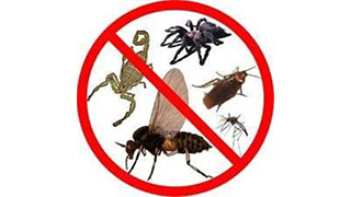 Extintores